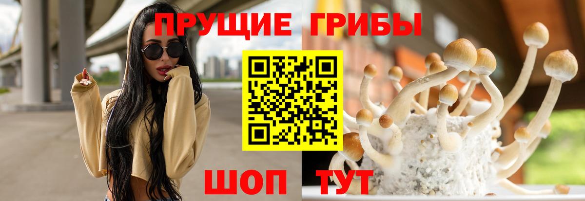 Галлюциногенные грибы MAGIC MUSHROOMS  Вход с VPN  Балтийск 